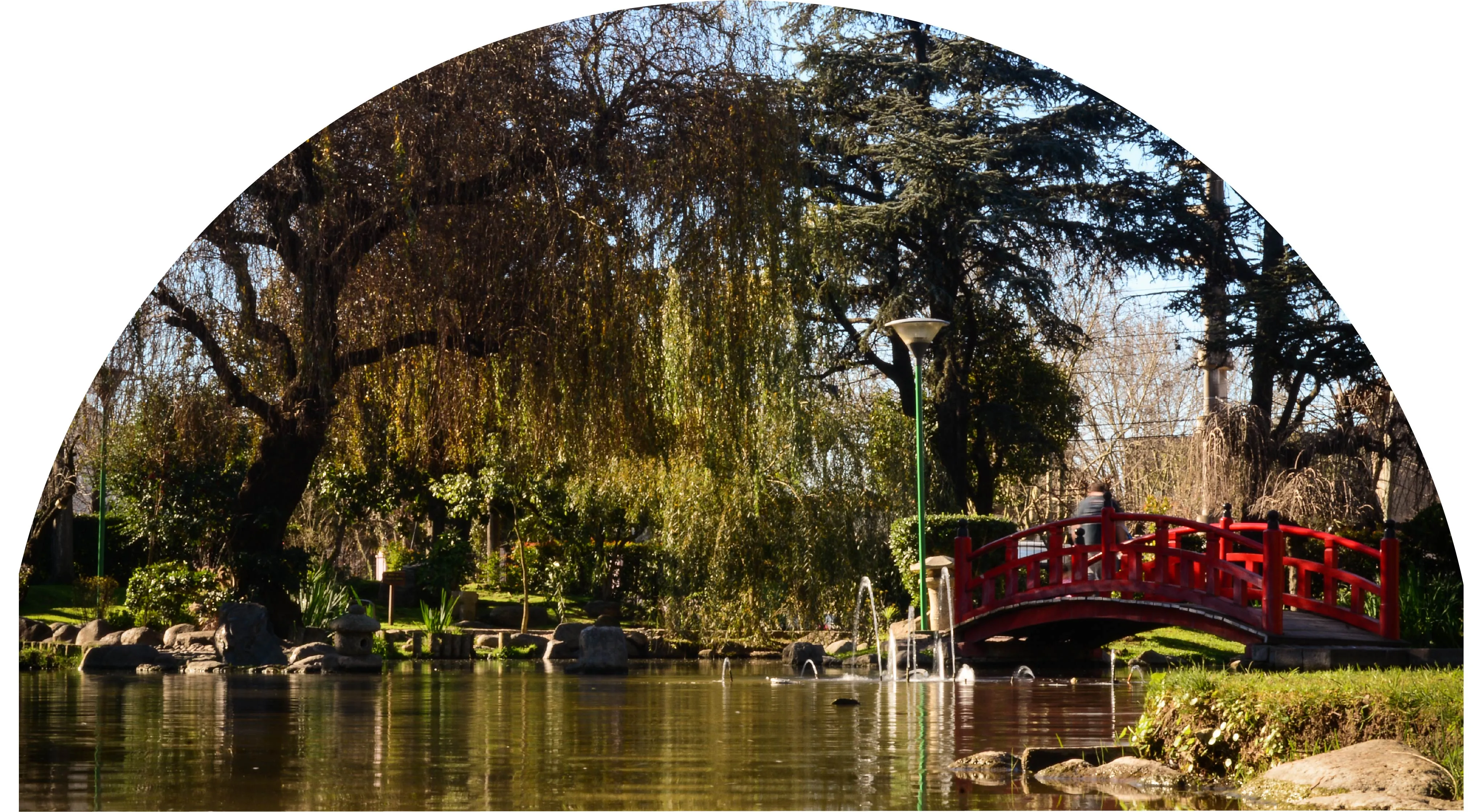 Laguna del Jardín Japonés con el puente rojo y sauces